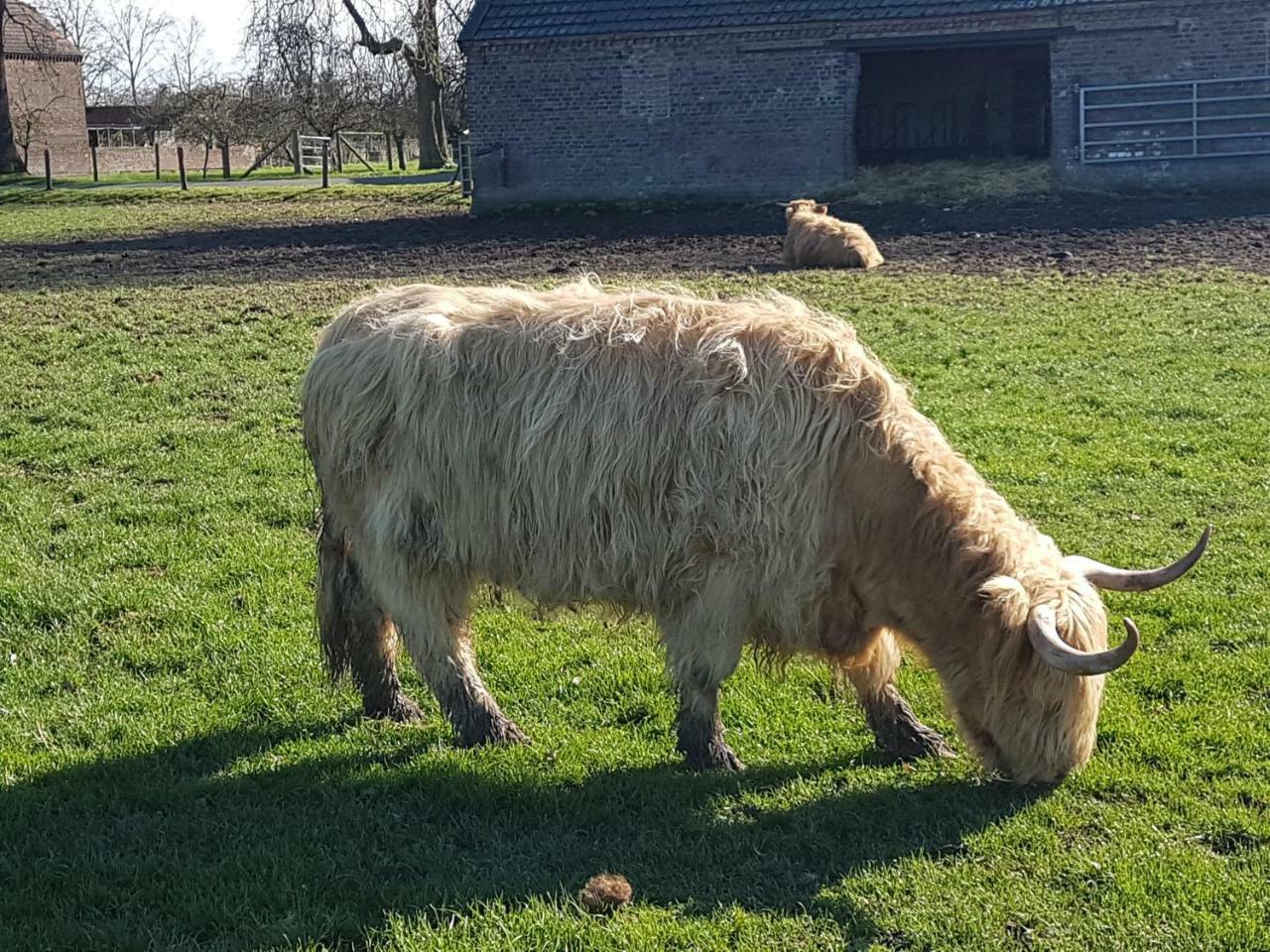 Domizil Xanten Dış mekan fotoğraf